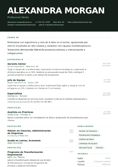 Plantilla de CV Headline