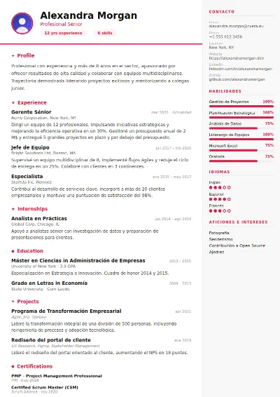 Plantilla de CV Infographic