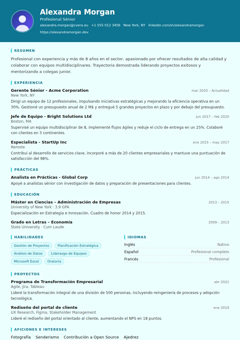 Plantilla de CV IT Support
