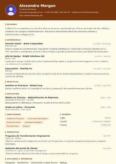 Plantilla de CV Librarian