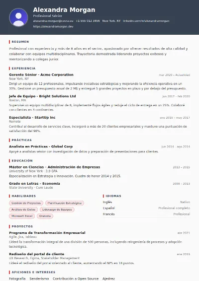 Plantilla de CV Mechanic