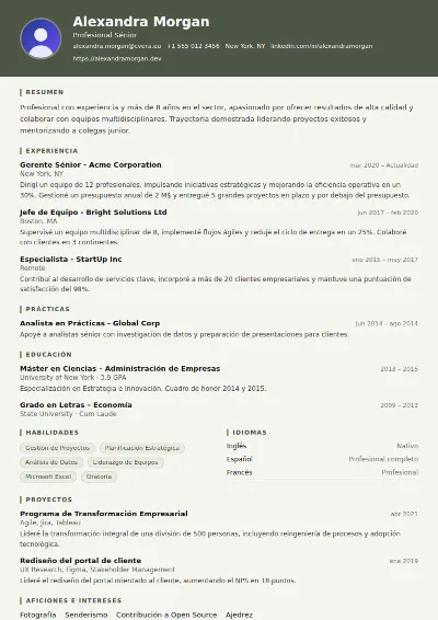 Plantilla de CV Military