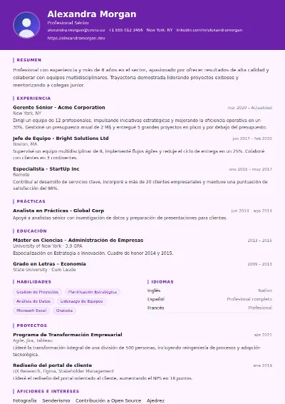 Plantilla de CV Musician