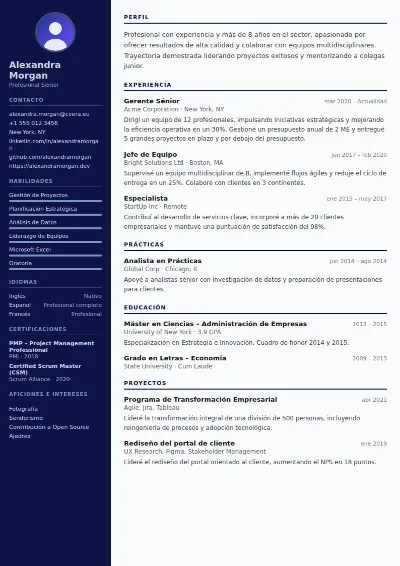 Plantilla de CV Pilot