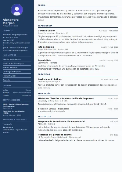 Plantilla de CV Police