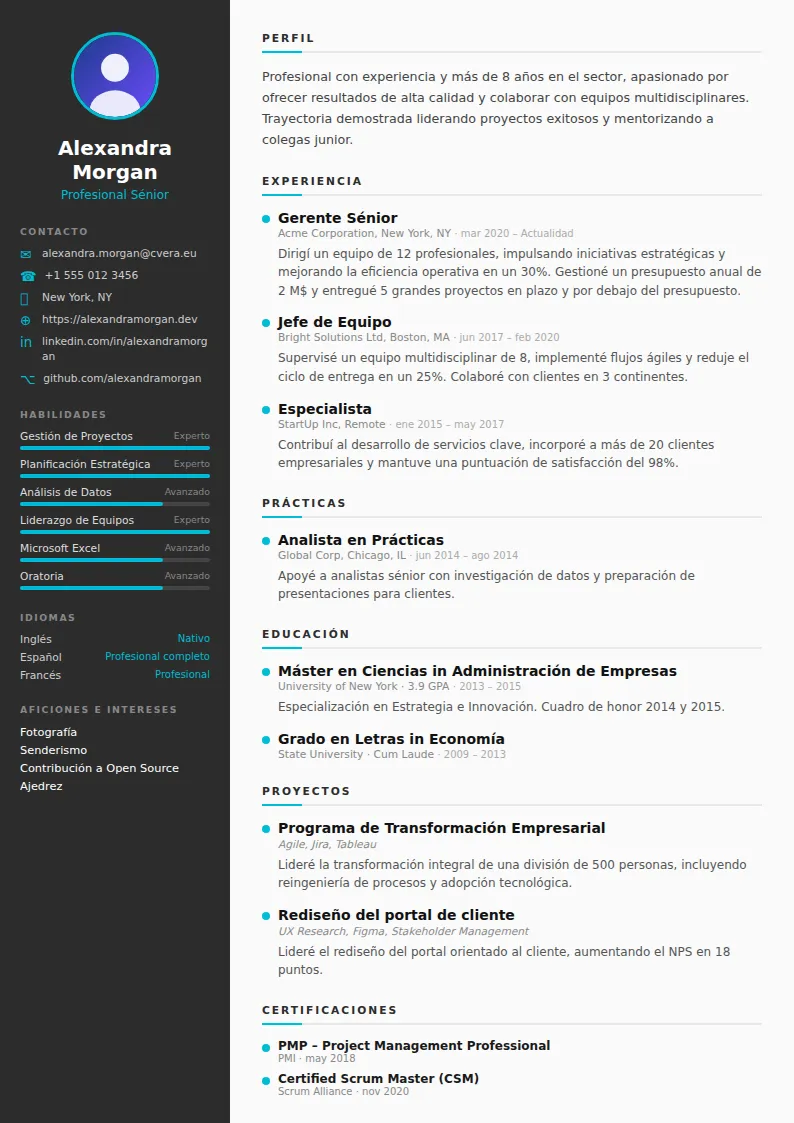 Plantilla de CV Sleek
