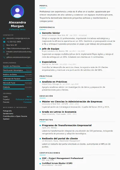 Plantilla de CV Sleek
