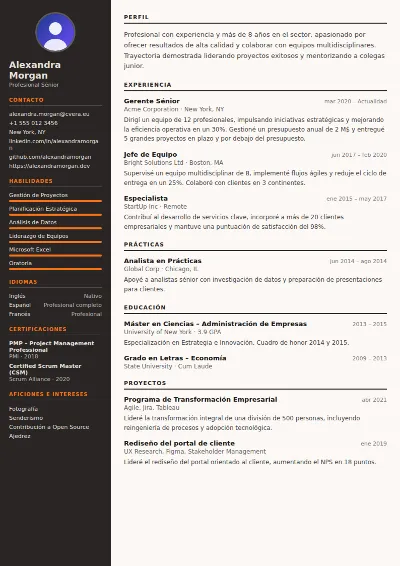 Plantilla de CV Welder