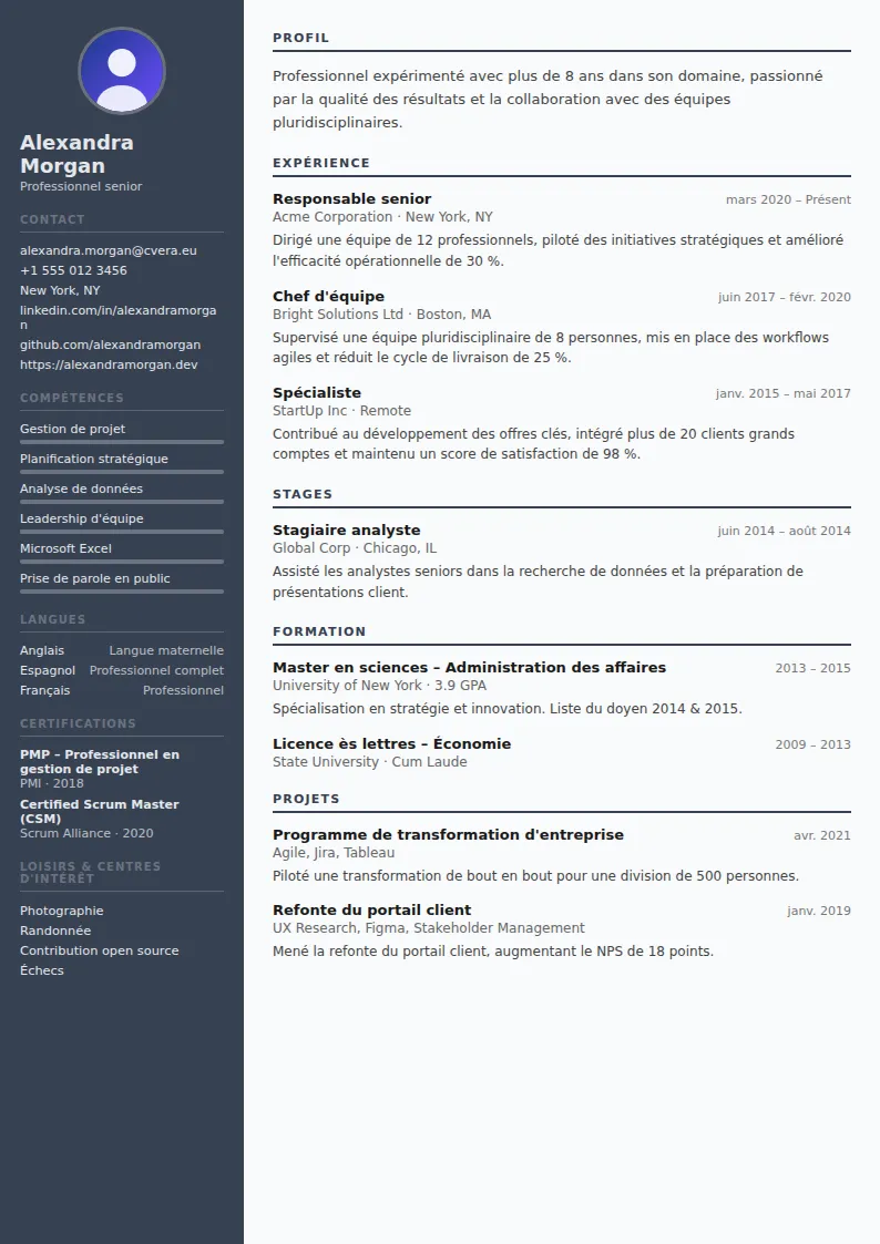 Modèle de CV Auditor