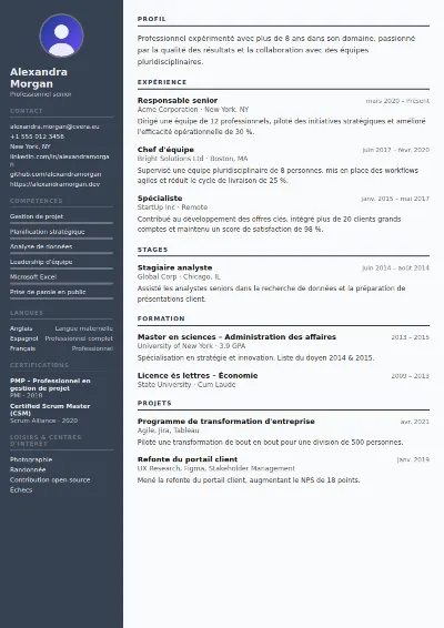 Modèle de CV Auditor