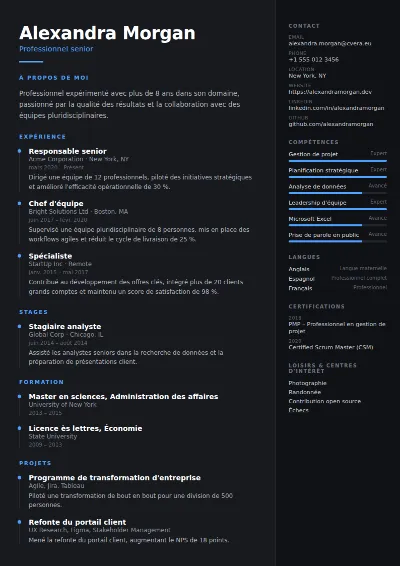 Modèle de CV Carbon