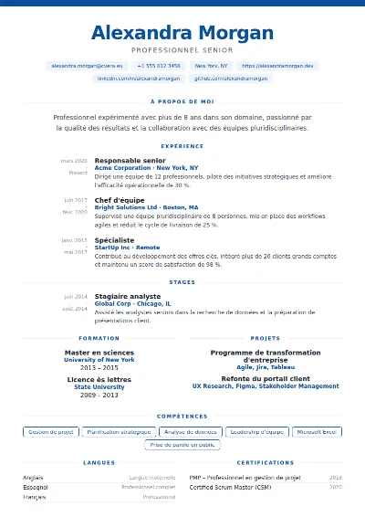 Modèle de CV Cobalt