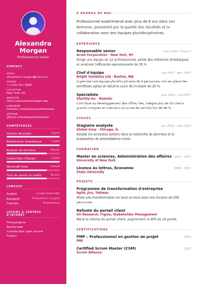Modèle de CV Colorfield