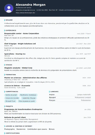Modèle de CV Consultant