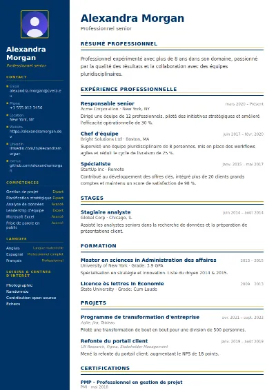Modèle de CV Corporate