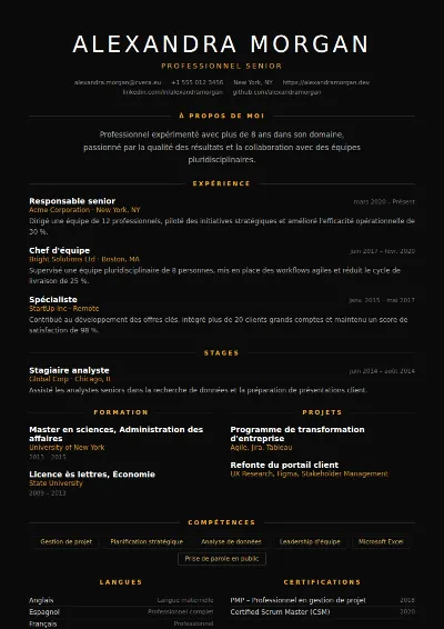 Modèle de CV Eclipse