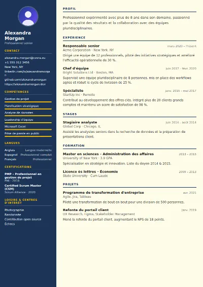 Modèle de CV Electrician