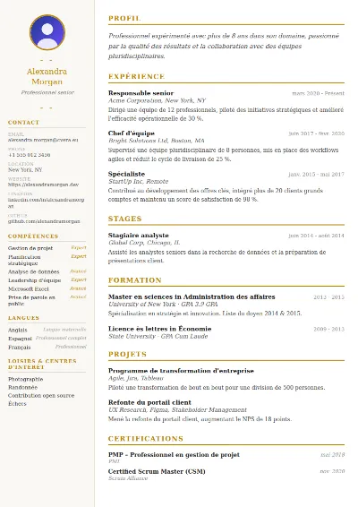 Modèle de CV Elegant