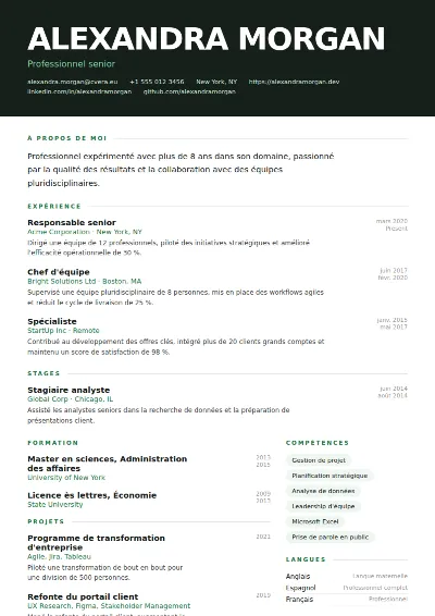 Modèle de CV Headline