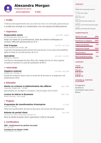 Modèle de CV Infographic