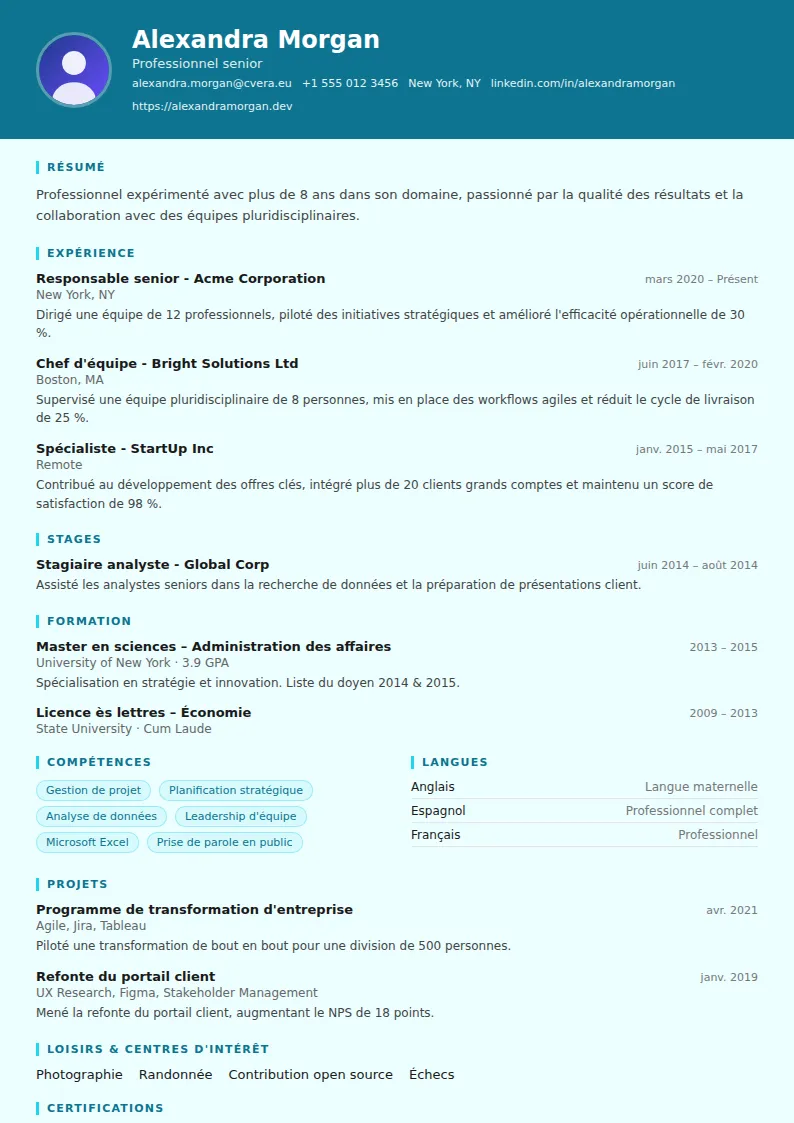 Modèle de CV IT Support