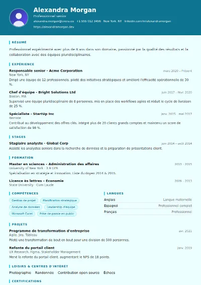 Modèle de CV IT Support