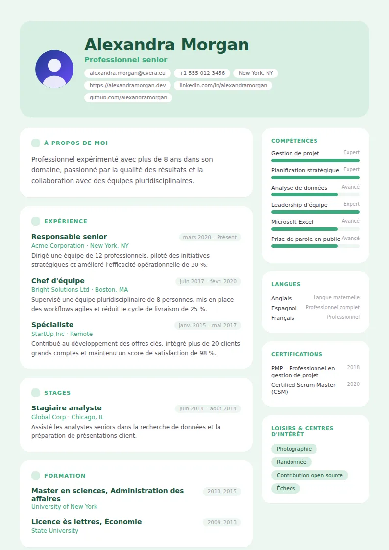 Modèle de CV Mint