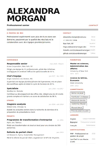 Modèle de CV Monolith
