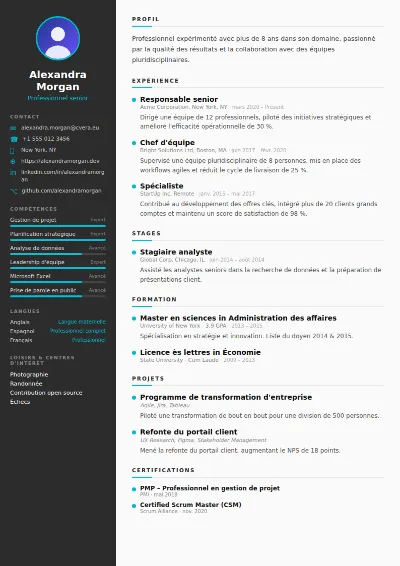 Modèle de CV Sleek