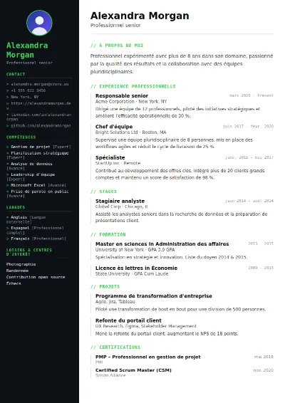 Modèle de CV Tech