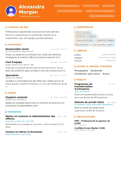 Modèle de CV Vibrant