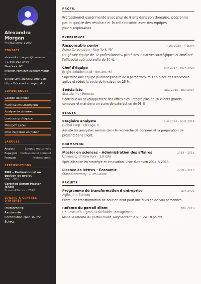 Modèle de CV Welder