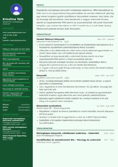 Könyvelő önéletrajz minta