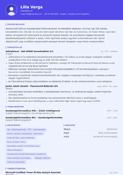 Adatelemző önéletrajz minta