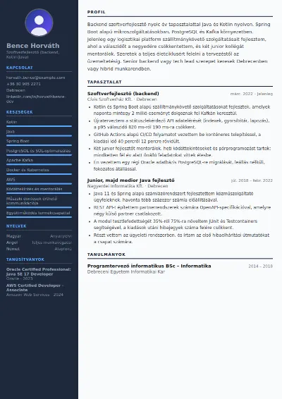 Szoftverfejlesztő önéletrajz minta