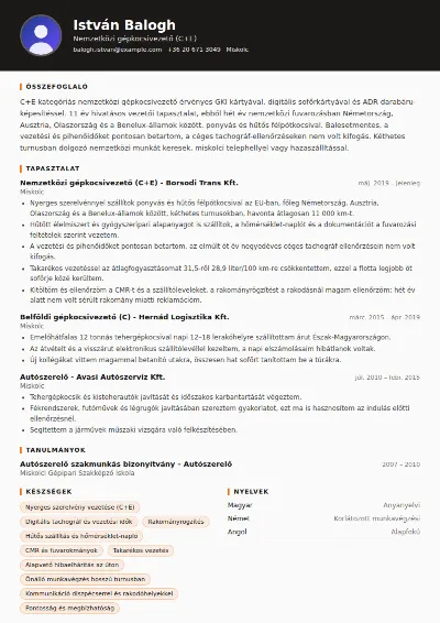 Kamionsofőr önéletrajz minta