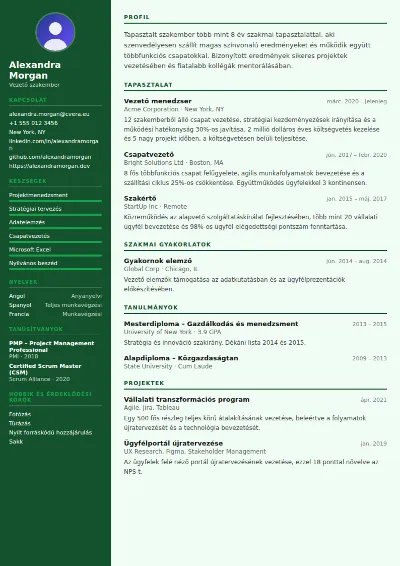 Accountant önéletrajz-sablon