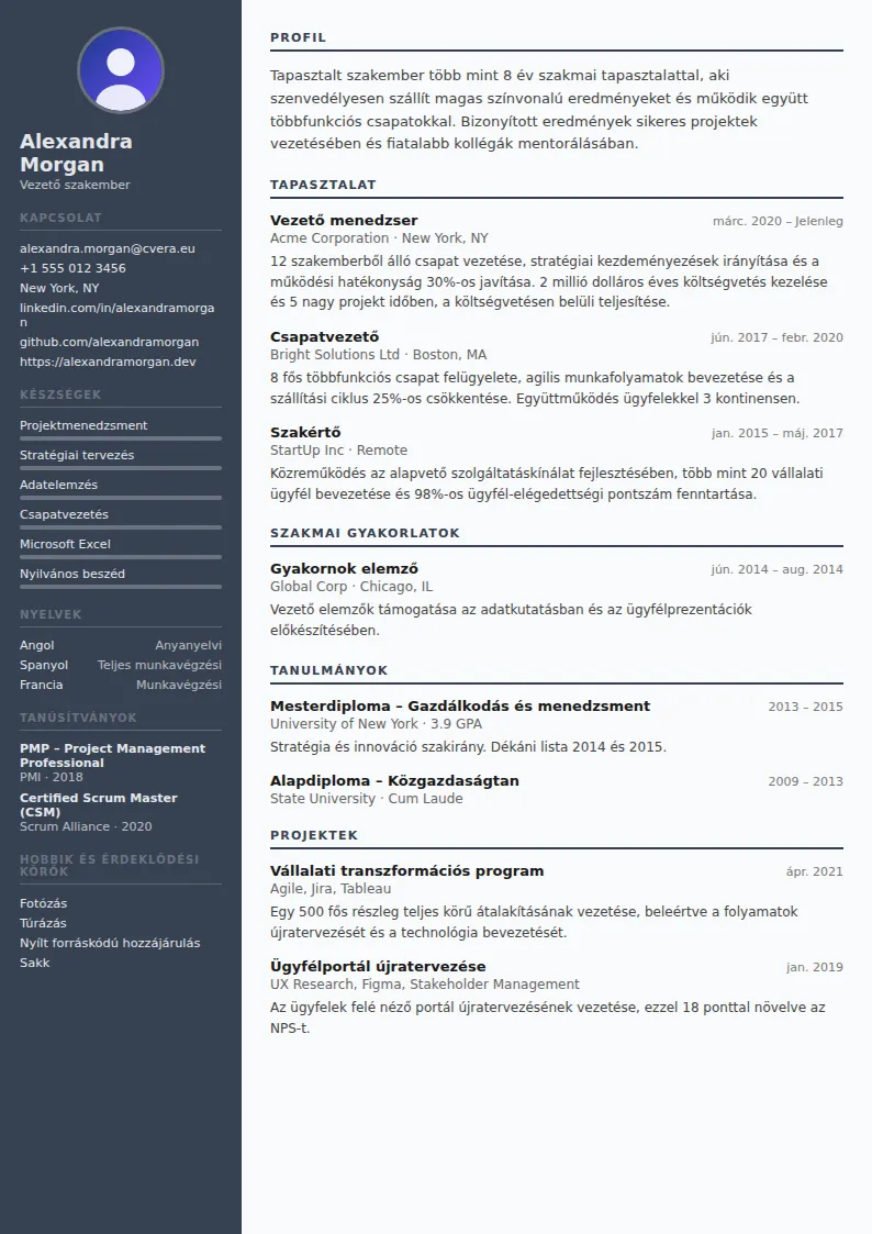 Auditor önéletrajz-sablon