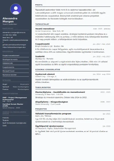 Auditor önéletrajz-sablon