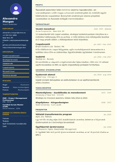 Electrician önéletrajz-sablon