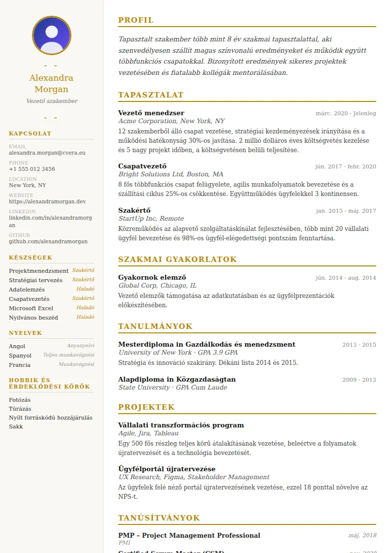 Elegant önéletrajz-sablon