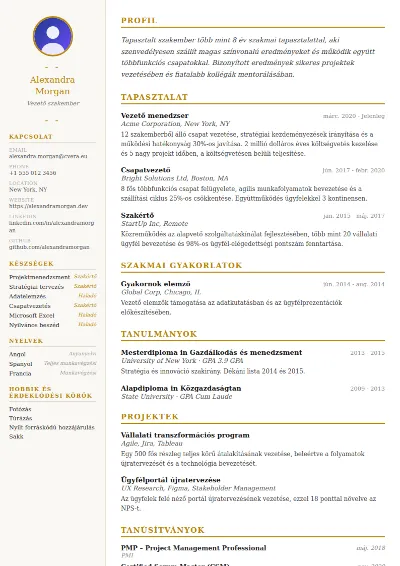 Elegant önéletrajz-sablon