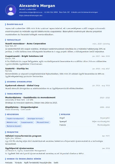 Financial Analyst önéletrajz-sablon