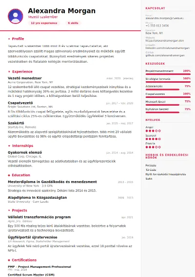 Infographic önéletrajz-sablon