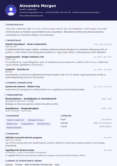 Professor önéletrajz-sablon