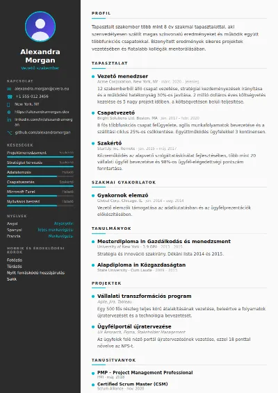 Sleek önéletrajz-sablon