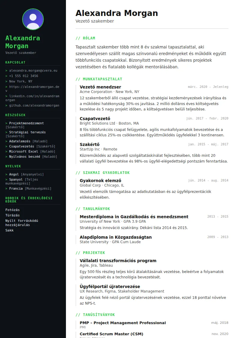 Tech önéletrajz-sablon