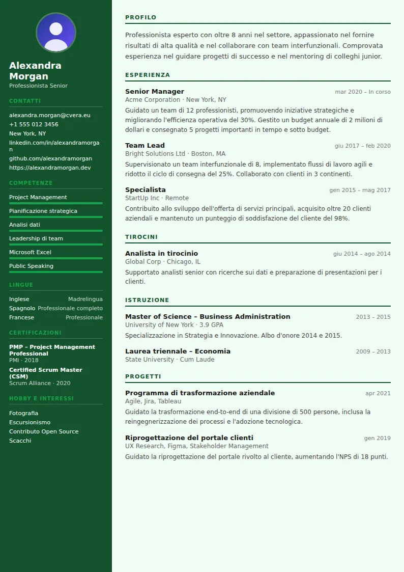 Modello di CV Accountant
