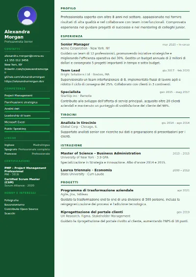Modello di CV Accountant