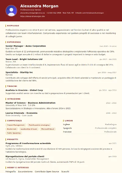 Modello di CV Attorney